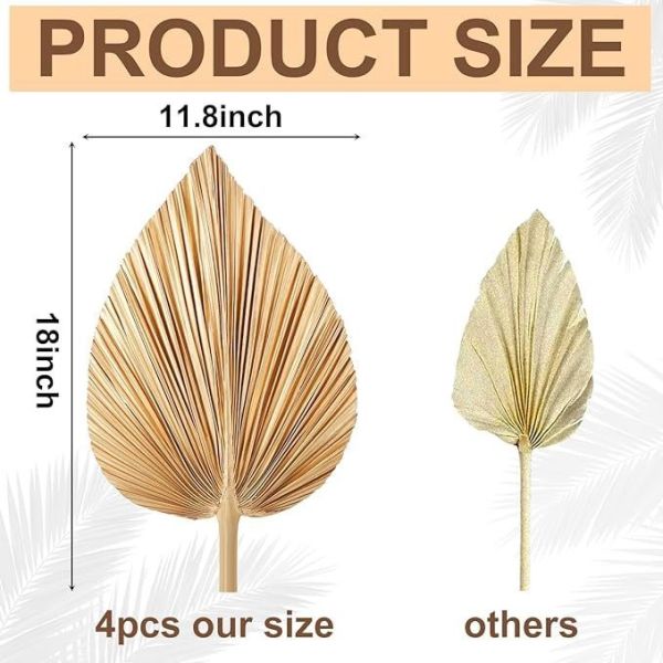 Vitalucks Logo Eco-Friendly Compostable Hand 4 Pcs Large Natural Gold Dried Palm Leaves