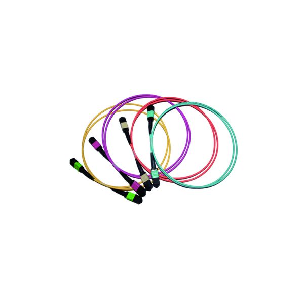 24 Core MPO To MPO Fiber Cable 40 Gb Multimode Fiber Optic Patch Cord