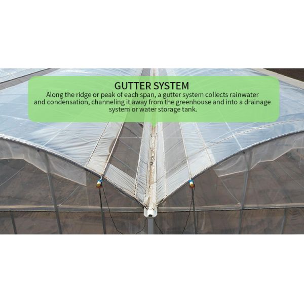 Large PE Film Greenhouse 50m Length 7-10m Span Width