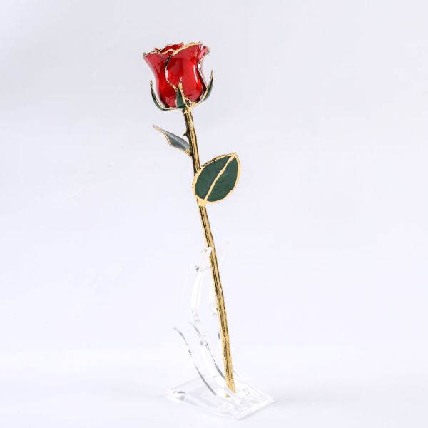 Valentine's Day, Christmas, Mother's Day Gift 24K Gold-plated Rose Red Upgraded Baked Paint Flower Manufacturer