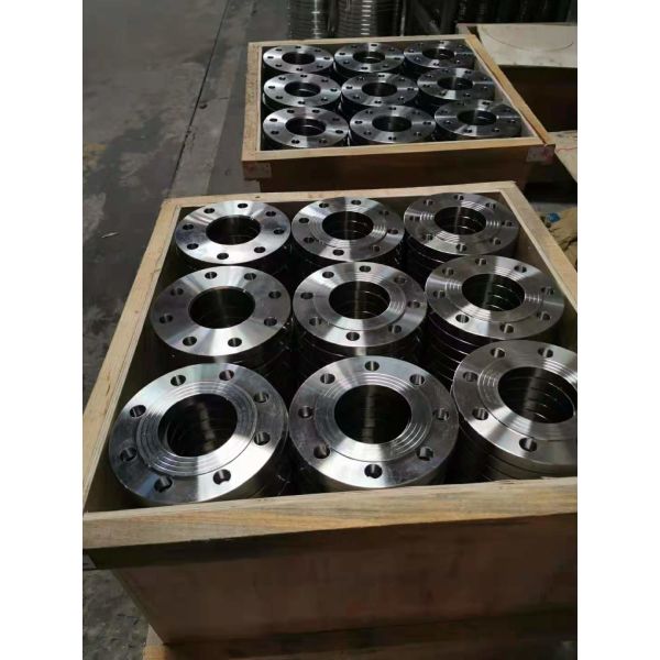 ASTM DIN標準的な316L F316Lのステンレス鋼のブランク フランジ