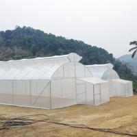 Estufa do respiradouro do telhado de guarda-chuva do túnel do único período da agricultura única para a área quente