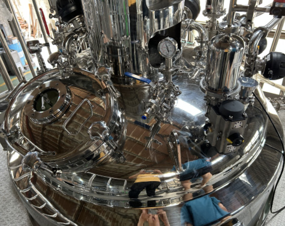 100L 200L Medicine Softgel Medicine Mixing Tank 400L 600L 800L