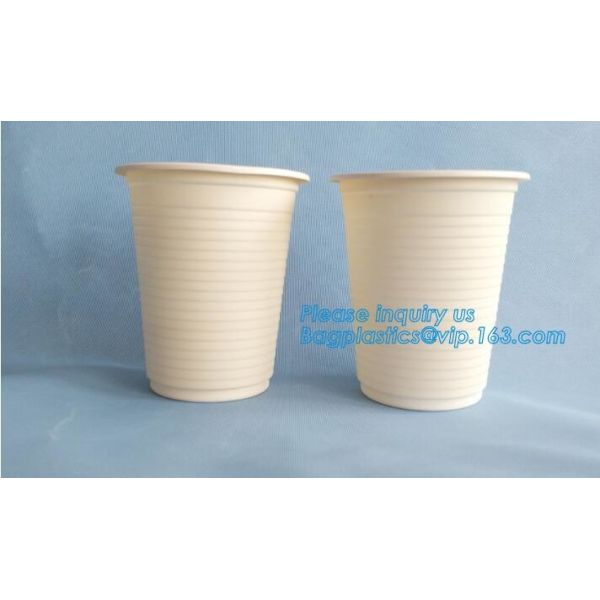 Disposable Bagasse Pulp Biodegradable Ice Cream Corn Starch Bowl Packaging For Food,Biodegradable corn starch bowl for s