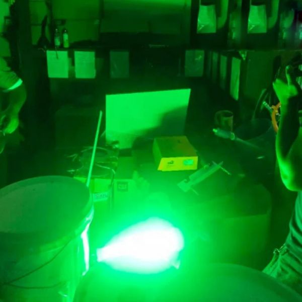 400W 600W Lâmpada verde de pesca subaquática Luz de trabalho exterior 12V 24V