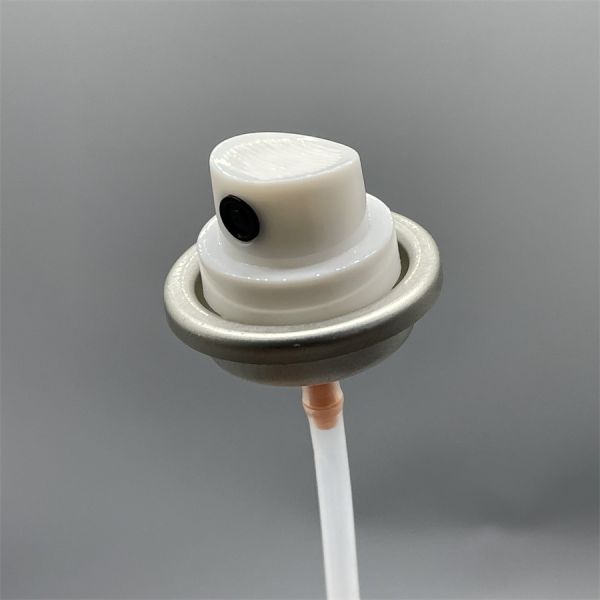 Valve de peinture aérosol mâle 1 pouce pour revêtement industriel