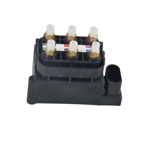 Audi A8D3 Air Valve Block A8 4E Air Suspension Compressor