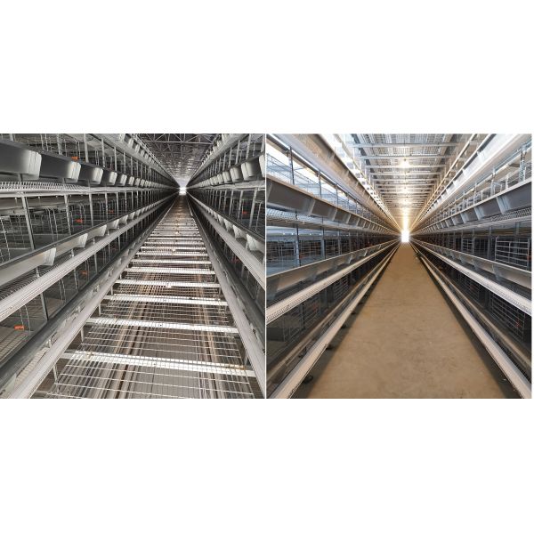 птицы клетки 144 птицы куриц яйца батареи 1800x1200x2140mm/набор