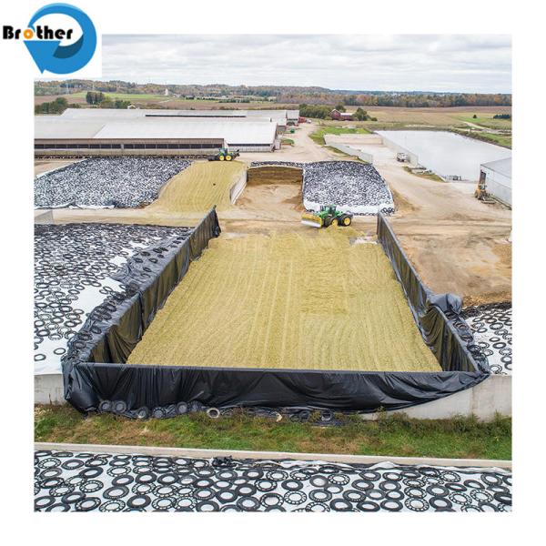 White Color Agriculture 500mm Silage Wrap Film for Grass Baler