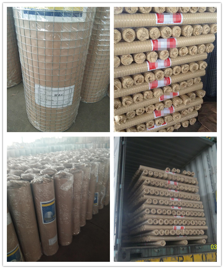 BWG12 5-50m Length Corrosion Resistant PVC Welded Wire Mesh for Rabbit Cages and Chicken Coops