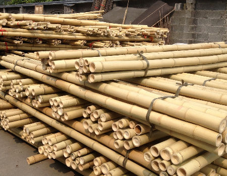 Natural Bamboo Pole 45cm-600cm for Garden Plant Support