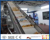 2TPH | chaîne de fabrication de mangue de 20TPH SUS304 avec 2kg met en boîte la machine de remplissage
