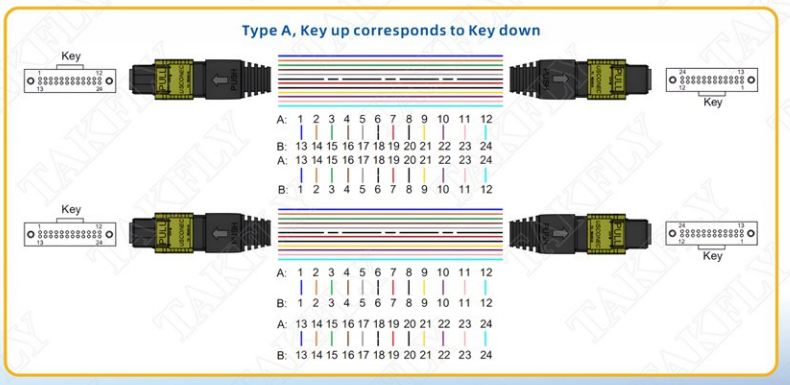 Customized MPO/MTP-MPO/MTP Patch Cord Low Insertion Loss 3.0mm Male Female
