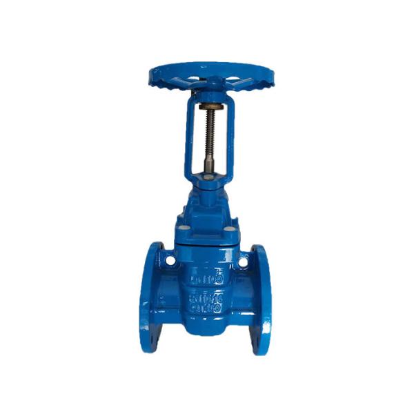 WRAS Approved Coating Ductile Iron 10 Inch Gate Valve For Pump
