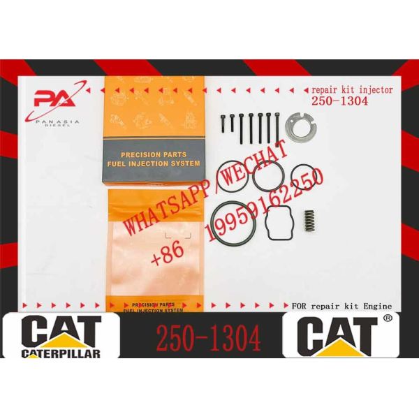 Diesel Engine Injector162-8813 246-1854 250-1311 250-1302 250-1304 250-1303 250-1306 250-1308For Caterpillar C3512B Common Rail