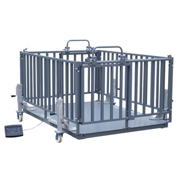 Livestock scale with fence
