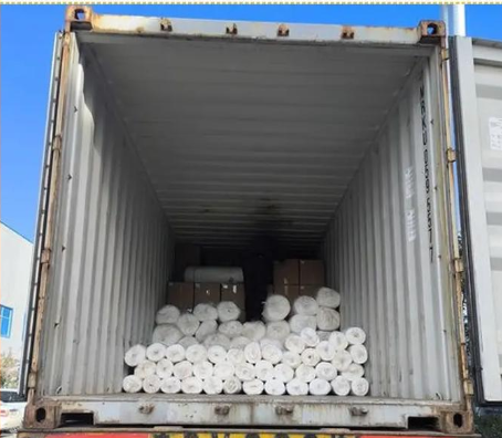 Garden And Farm Plastic Window Screen With HDPE Material