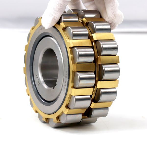 Eccentric Bearing 619 GSX Cylindrical Roller Bearing 619GSX Chrome Steel Bearing 85x151.5x34mm