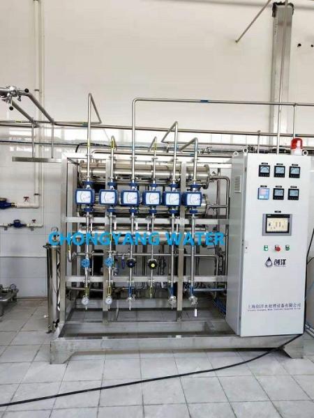 CEDI Deionized Water Treatment Plant Ro Water Filter System In Pharmaceutical Industry