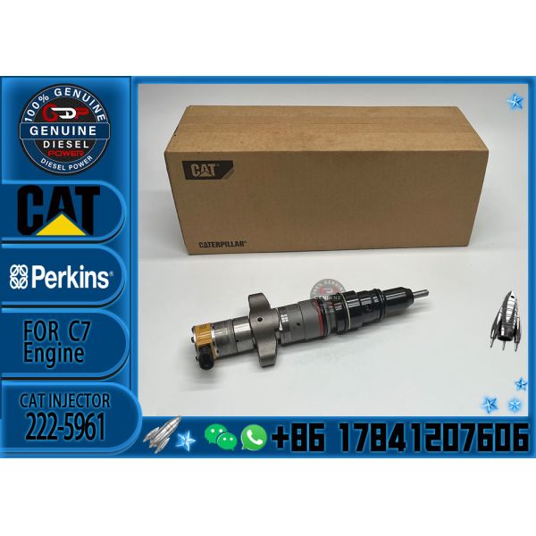 Wholesale Cat Injectors For Caterpillar Diesel Spare Part Injector 222-5961 2225961 For Caterpillar Engine C7 Diesel Spa
