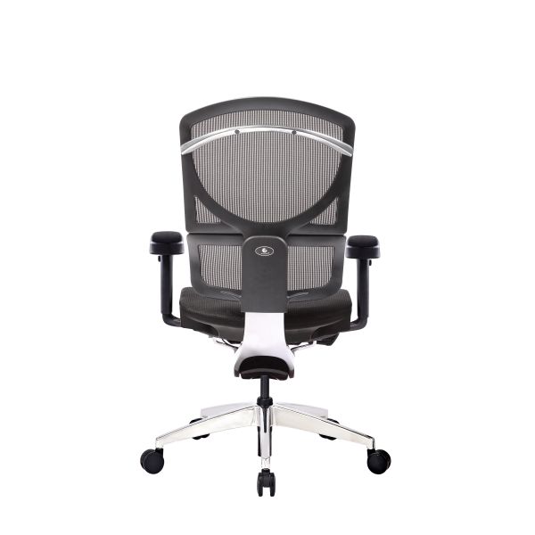 ISEE X Swivel Ergonomic Office Chairs BAS System Rolling With Back Support Full Mesh