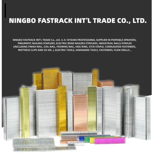 STCR5019-6 20 Gauge 11.50mm Crown 6mm Furniture Staple ANSI Standard for 6mm Crown