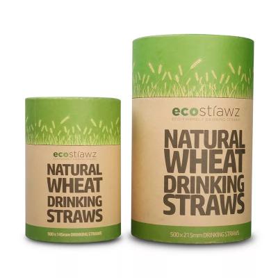OEM Kraft Paper Food Tube Packaging Eco Friendly CMYK Cylinder Tea Cardboard Box