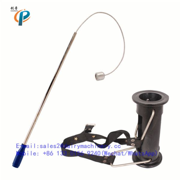 Aimant ruminal, aimant fort de rumen, aimant de vache, absorption magnétique forte de fer de rumen de cage