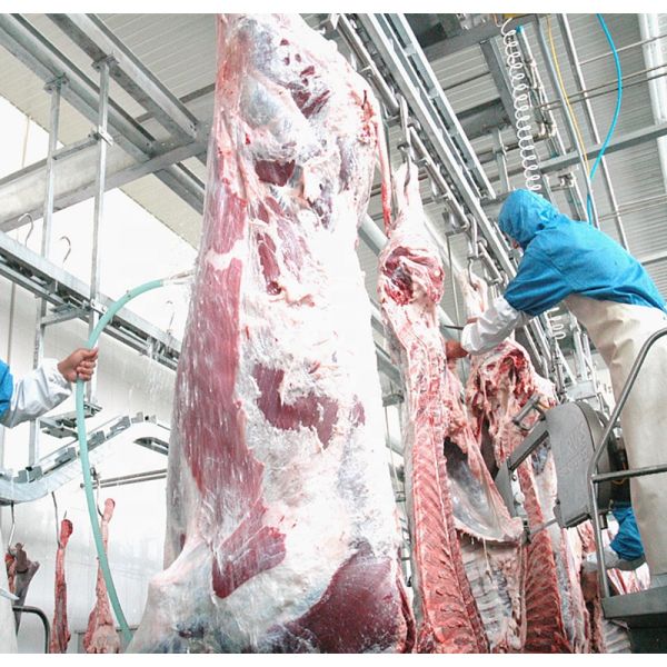 Волосы полиуретана резины машины коровы скотобойни нержавеющей стали 304 выщипывая пальцы