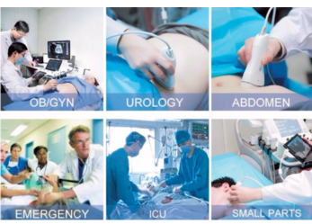 Digital USB Portable Ultrasound Scanner Convex Probe / Transducer Vet Ultrasound