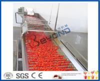 Máquina del Juicer del tomate del proceso de fruta, instalación y maquinaria de procesamiento eléctrica del Juicer del tomate