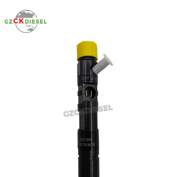 Fuel Injector EJBR03001D 33801-4X900 33800-4X900 EJBR02501Z For Delphi KIA Bongo3 2.9L KJ