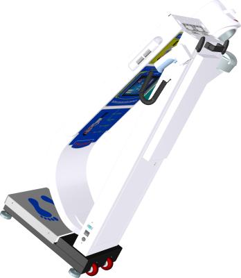 Medical Body Fat Weight Scale , High Precision Body Weight Height Scale