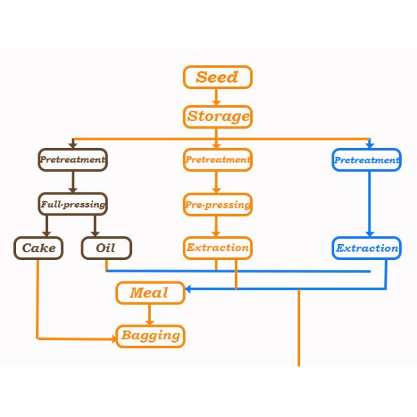 Пищевое масло риса нержавеющей стали отжимая обслуживания 10 оборудования полностью готовые - 200TPD