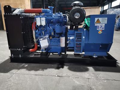 Marathon Alternator Power Diesel Generator Set AC Three Phase