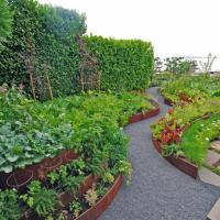 Bordure en acier Bunnings de GV Corten ornements en métal de jardin de 3,93 pouces