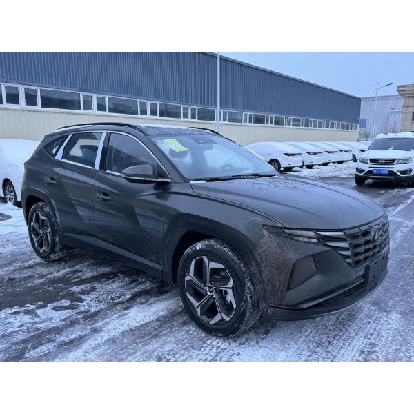 Hyundai Tucson L 1.5T DCT GLX GLS LUX TOP Edition Suv