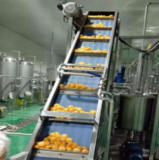 Fully Automatic System Citrus/Orange Juice Processing Line
