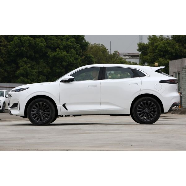 8 мест 2021 двери 5 версии 5 высокого профессионализма шестерни автоматических ручных UNIK 2.0T SUV