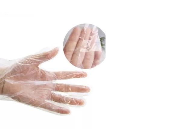 Biodegradable Disposable Transparent Clear Plastic  Gloves Available