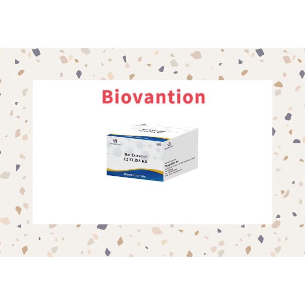 Specificity Biovantion Rat Estradiol E2 Elisa Test Kit - 96 Tests Storage At 2-8.C