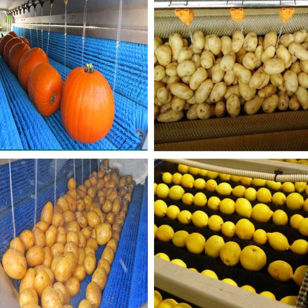 Фруктовые овощи Промышленные роликовые щетки вращающиеся щетки конвейерные ремни очистители