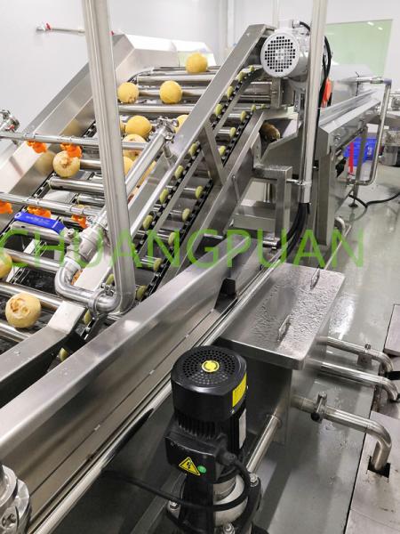 2-9T/H Filling Speed Coconut Processing Machine