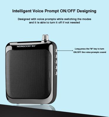 Professional Wired Loudspeaker Headset Microphone Speaker for anchor, Emcee, coaching center, trainer, Yoga Instructor