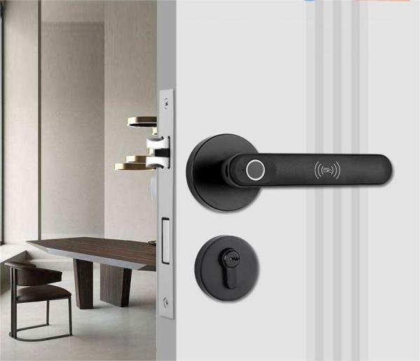 Qleung S607L Classic Black Tuya BLE APP Doorlocks Intelligent Fingerprint Key Smart Door Lock For Apartment Home Inside
