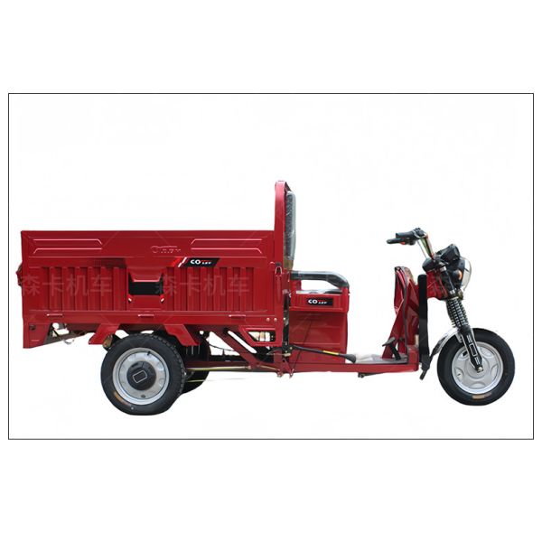 Solar Panel Electric Tricycle Adults with Max Speed 25-35km/h and 48v/60v-20A Battery