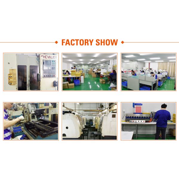 Japan Movt Quartz Plastic Strap Watch Customized Logo For Lady Girls