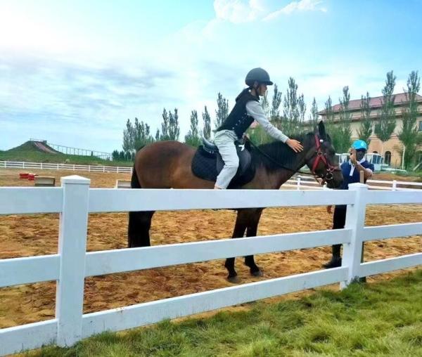 Fermeture en PVC Ferme 3 rails Ferme de chevaux Fermeture facile