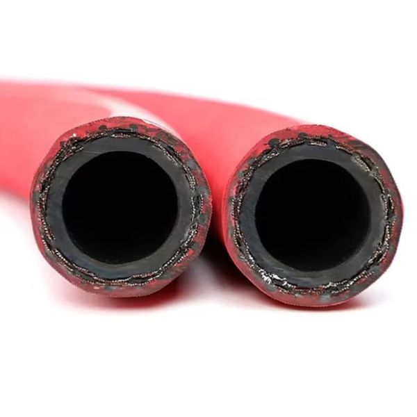 Las condiciones de las condiciones de producción se establecen en el anexo I del Reglamento (CE) n.o 1069/2009.