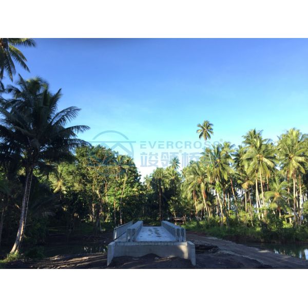 Китай 321 Временный современный мост Бейли для продажи